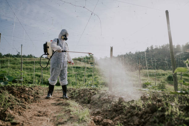 Best Commercial Pest Control Services  in Willard, MO