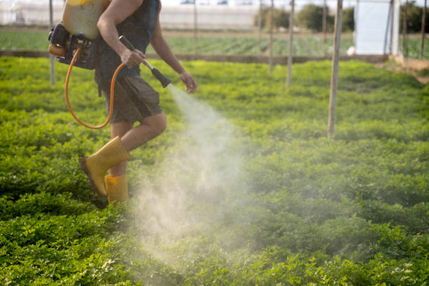 Best Exterminator Services  in Willard, MO